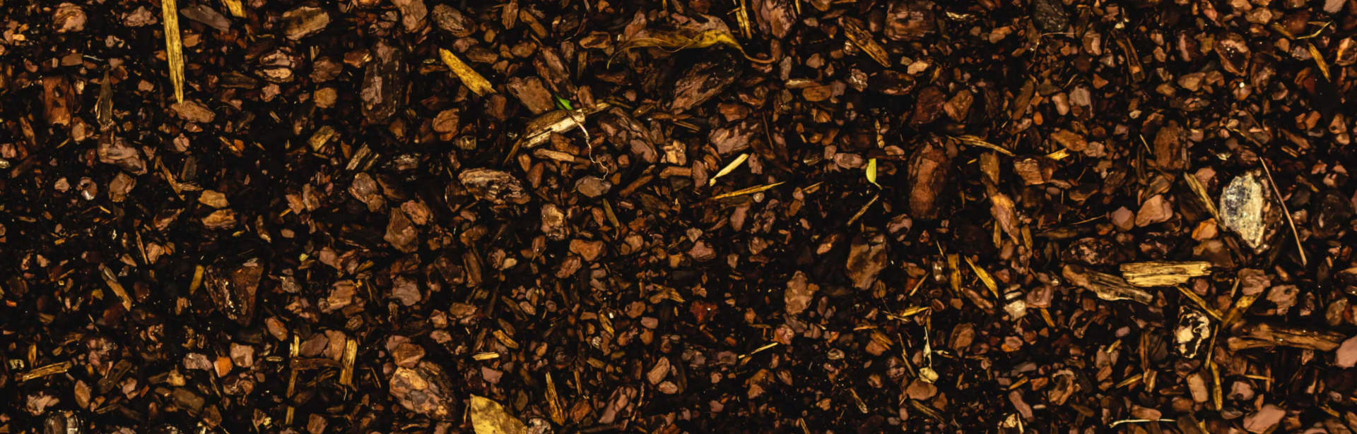 Wood Chip