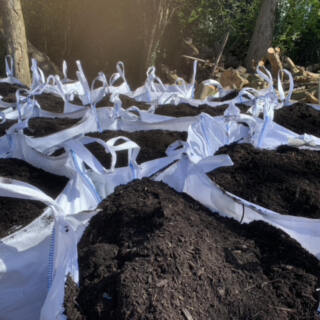 Compost in Kent