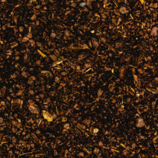 Wood Chip